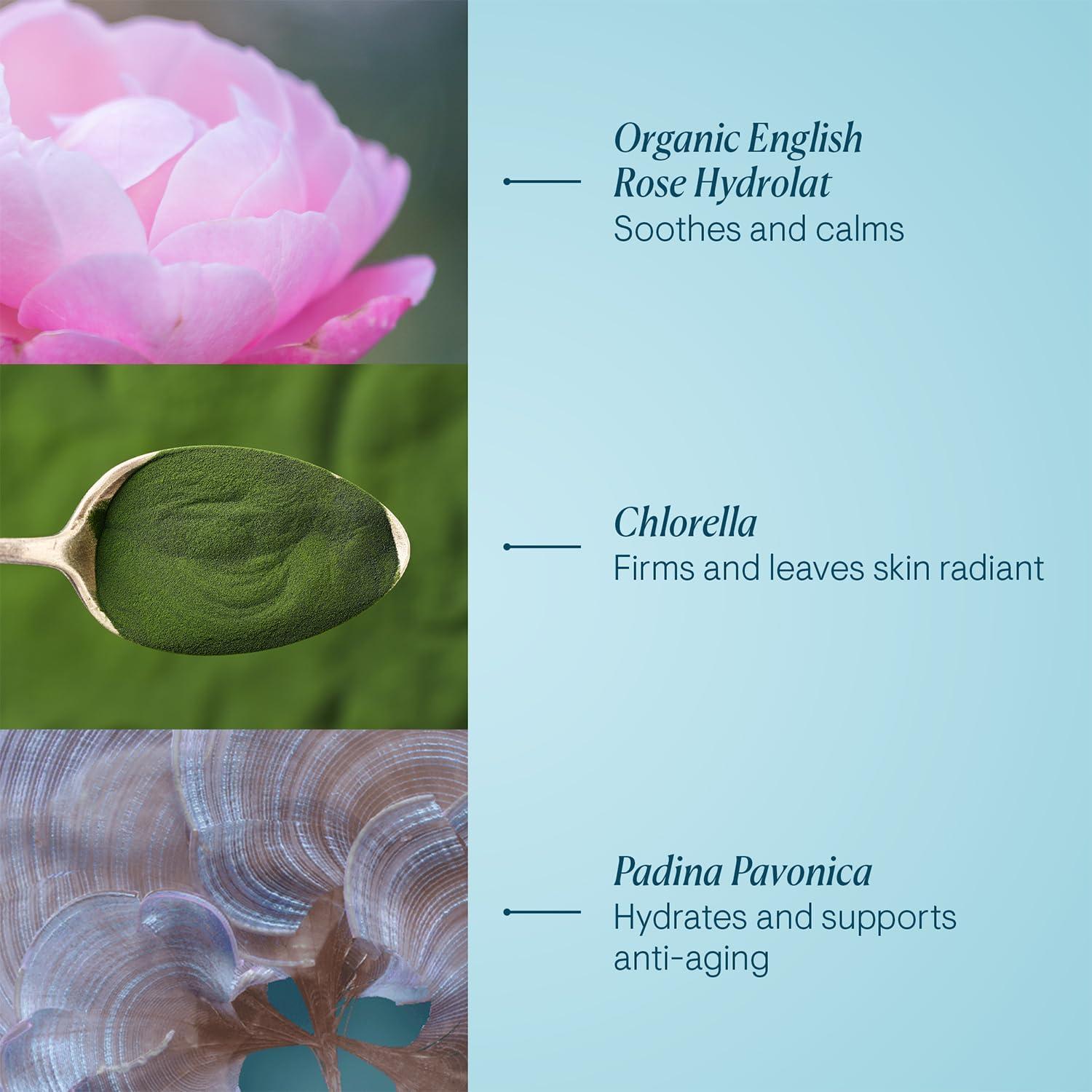 image:imageELEMIS ProCollagen Rose Marine Cream